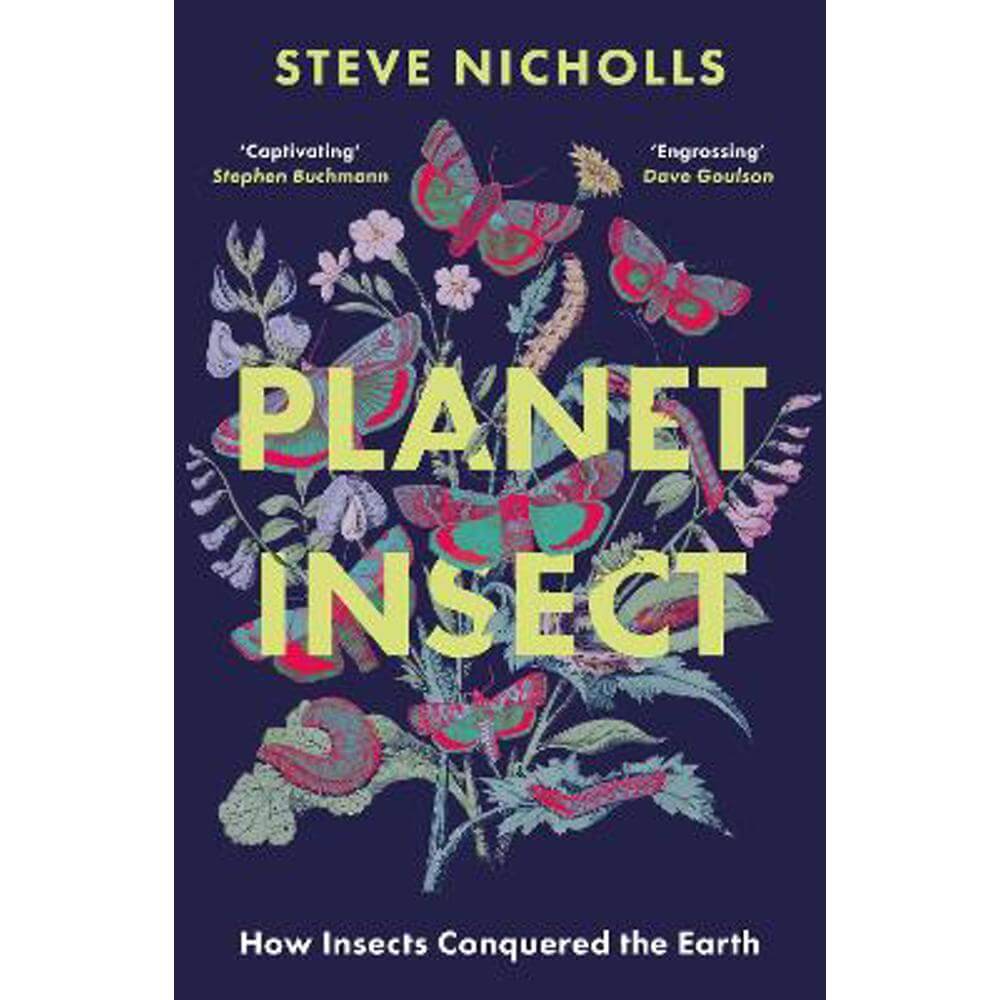 Planet Insect: How insects conquered the Earth (Paperback) - Steve Nicholls